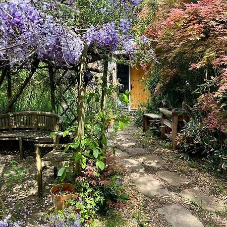 The Garden Room Рингвуд Екстер'єр фото