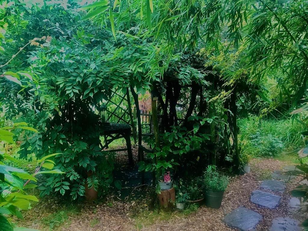 The Garden Room Рингвуд Екстер'єр фото