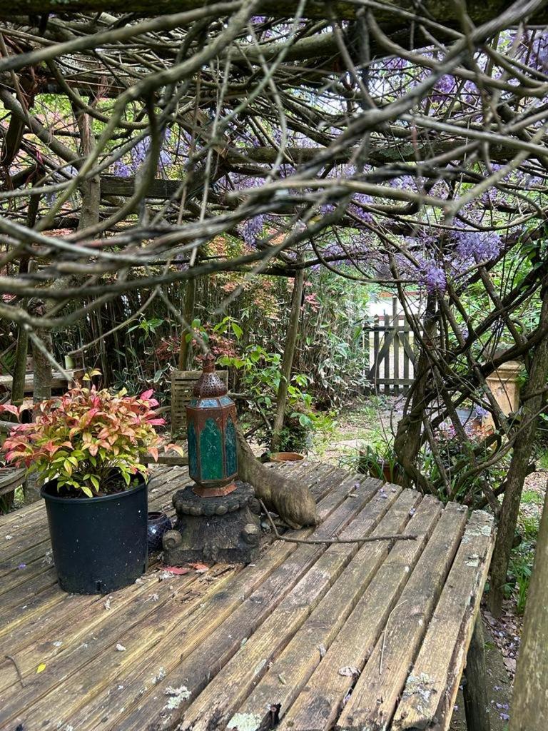 The Garden Room Рингвуд Екстер'єр фото